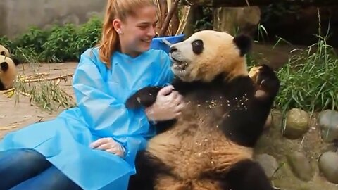 When Animals Did Cute Things And Warmed Your Hearts ❤️️Animal Show Love 😍