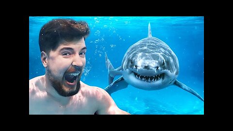 Would You Swim With Sharks For $100,000_