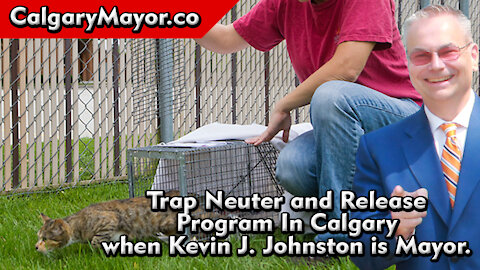Trap Neuter and Release Program In Calgary - Kevin J Johnston