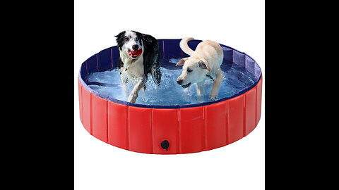 Read User Comments: Anoak Foldable Dog Pool, Plastic Pool for Dogs Portable Swimming Pool for...