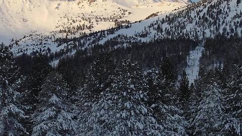 January storm brings fresh snow to Mammoth Mountain