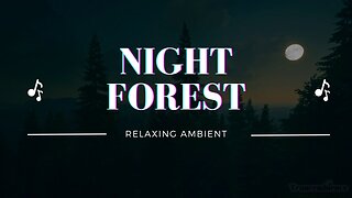 Night-Time Forest In Moonlight | Night Forest Ambient Sound