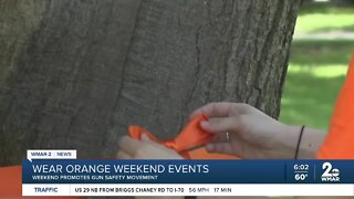 Wear Orange weekend events to promote gun safety