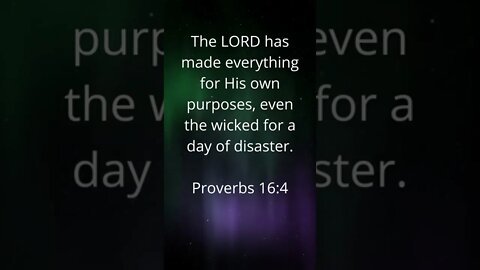 HE HAS A PURPOSE FOR EVERYTHING! | MEMORIZE HIS VERSES TODAY | Proverbs 16:4