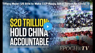 Proposal to make the CCP pay $20.6 trillion in reparations over COVID-19