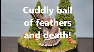 Cuddly ball of feathers and death diorama!