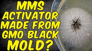 Is Your MMS (Miracle Mineral Solution) Activator Made From GMO BLACK MOLD?