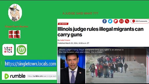 Illinois judge rules illegal migrants can carry guns WHAT THE HELL ???