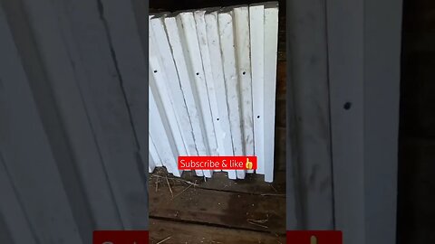 Winter Preparation of My Duck Coop P2😁|#shorts #short #shortvideo #shortsvideo #shortsfeed #viral