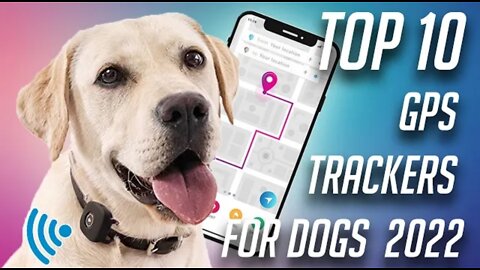 Top 10 GPS Trackers For Dogs 2022 | Best Pet GPS Tracker