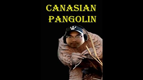 Canasian Pangolin