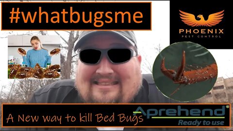 Aprehend: a New Way to Kill Bed Bugs