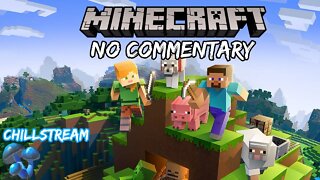 Part 1 // [No Commentary] Minecraft Chillshroom - Nintendo Switch Gameplay