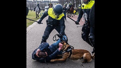 COVID OPPRESSION IN THE NETHERLANDS. NEVER FORGET. COVID ONDERDRUKKING IN NEDERLAND. NOOIT VERGETEN.