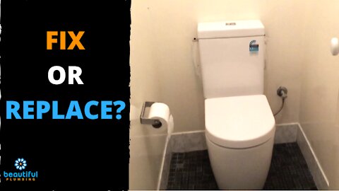 How to Know If You Need to Fix Toilet or Replace