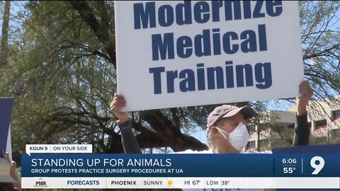 Physicians protest use of animals at UA College of Medicine