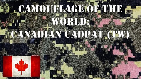 Camouflage of the World: Canadian Disruptive Pattern (CADPAT) Temperate Woodland
