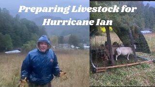 Protecting the Animals From Hurricane Ian
