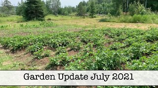 Garden Update July 2021