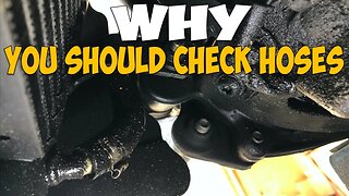 Harley Hose Check: A Crucial Reminder