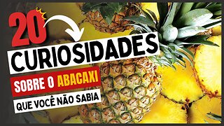 20 Curiosidades sobre o Abacaxi