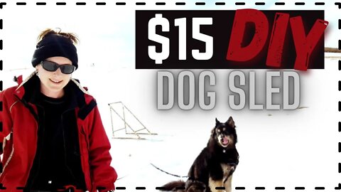 Build a Dog Sled for $15 | If your dog pulls, you need to see this!