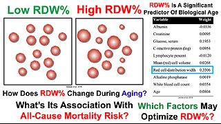 RDW Is A Significant Predictor Of Biological Age: Which Factors May Optimize It?