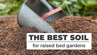 THE BEST SOIL for RAISED BED gardens