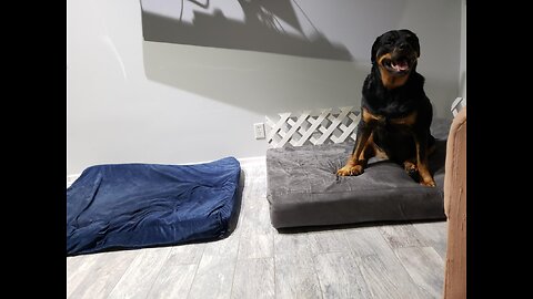 Big Barker 7" Pillow Top Orthopedic Dog Bed for Large and Extra Large Breed Dogs (Headrest Edit...