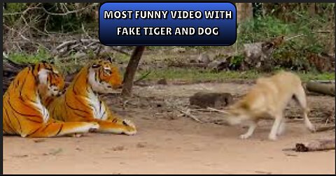 Funny video Prank Dog with fake Tiger