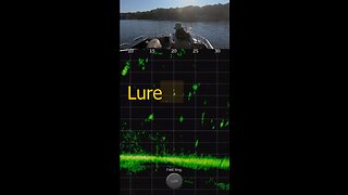 Crappie Fishing With LiveScope Plus on Lake Darbonne (short clip)