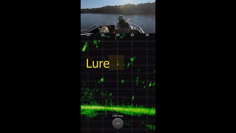 Crappie Fishing With LiveScope Plus on Lake Darbonne (short clip)