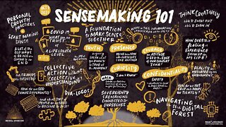 Rebel Wisdom Sensemaking 101 promo