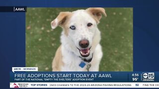 Free adoptions for shelter pets in need