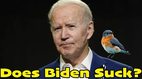 97% of People Say Joe Biden Sucks