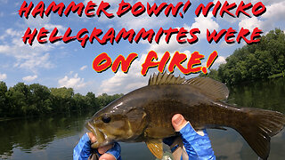 Hammer Down! NIKKO Hellgrammites were on fire!