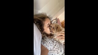 A puppy and her owner say good morning like this