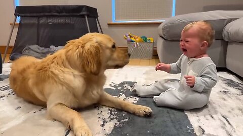 Pup makes a Baby Cry and says Sorry