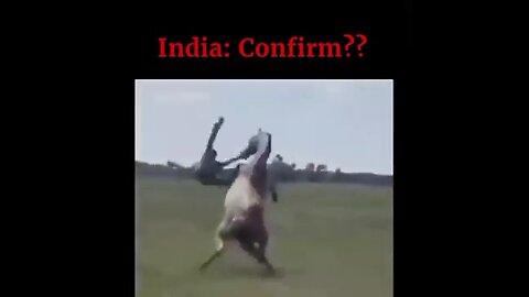 USA vs india 😂