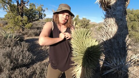 RVing Storytime - Drinking Whiskey and Hunting Cactus in the Las Vegas Desert! Part 1