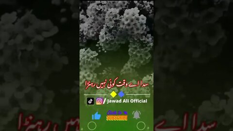 #shorts Punjabi Shayari Whatsapp Status🥀 - Punjabi Poetry Status - Sad Shero Shairi🔥 Jawad Ali