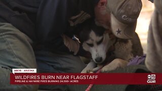 Residents and pets evacuated as fires burn near Flagstaff