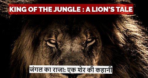 King of the Jungle: A Lion's Tale