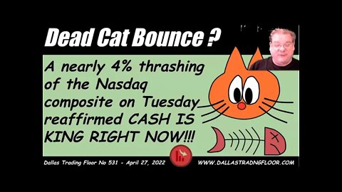 Dead Cat Bounce? #shorts #stockmarket #makemoneyonline