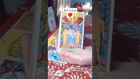 Aries ♥️ You Shocked Their Soul Aries #tarot #tarotreading #zodiac #soulmate