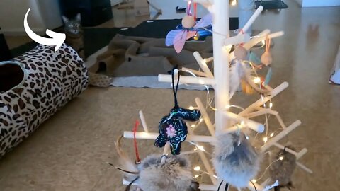 Holiday Decorating My CATmas Tree with Cat Toy Ornaments #VLOGMAS