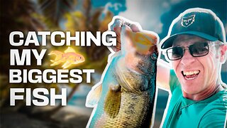 Catching back to back GIANT BASS 2023!