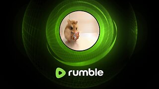 Hammy Live Game Streaming