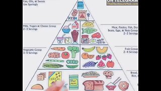 The New Food Pyramid SCAM
