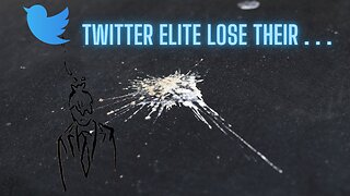 Twitter Media Elite Lose Their Shit Over Free Speech Being Freed by Elon!